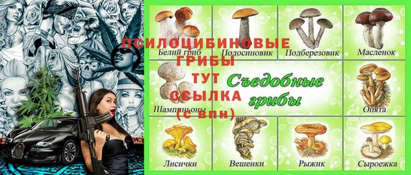 МДПВ Абаза