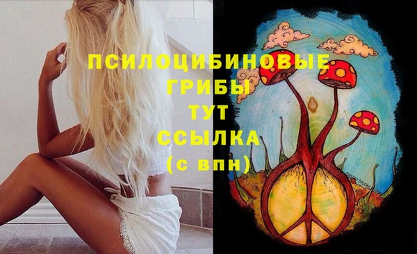 МДПВ Абаза