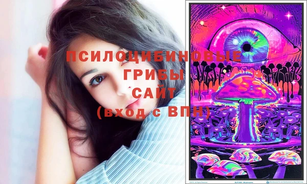 МДПВ Абаза