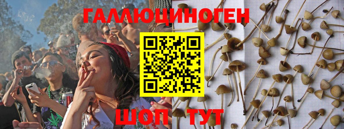 Батайск  Галлюциногенные грибы прущие грибы  Псилоцибиновые грибы MAGIC MUSHROOMS  Вход с VPN 